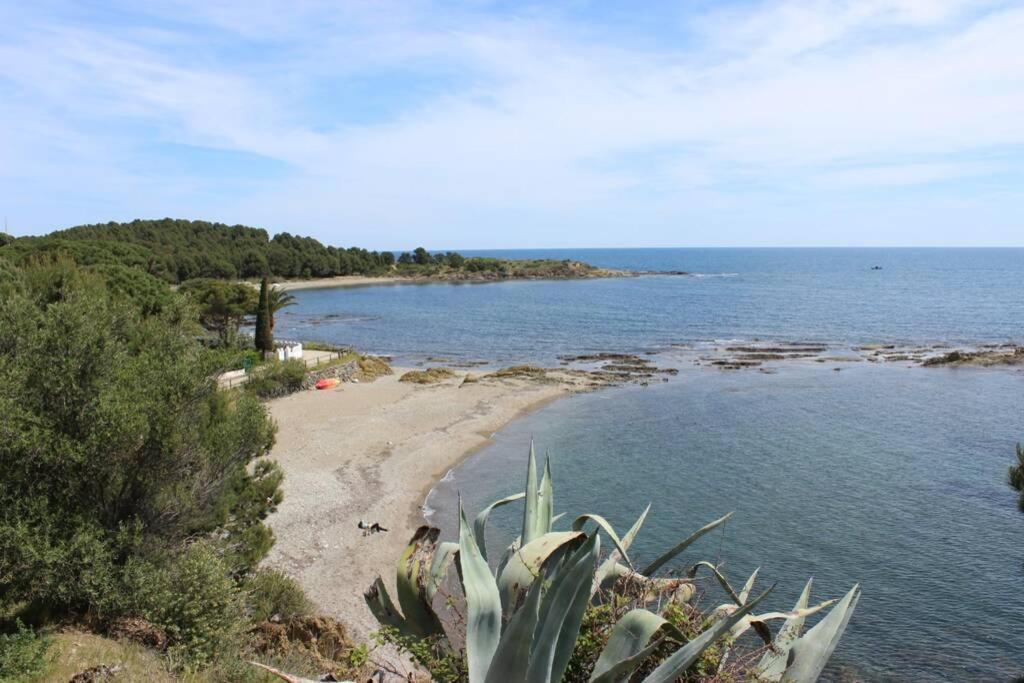 Luxury 4 Bed Apartment On Coastal Footpath At Cap Ras Llançà Extérieur photo