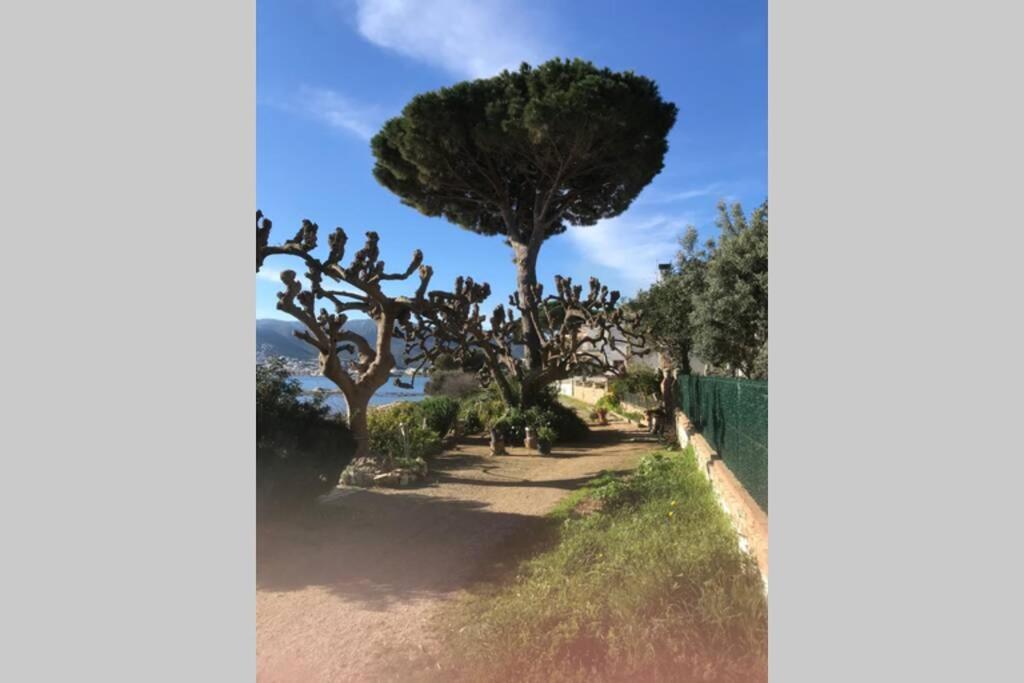 Luxury 4 Bed Apartment On Coastal Footpath At Cap Ras Llançà Extérieur photo